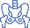 Quadril